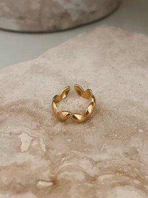 ZAG RING