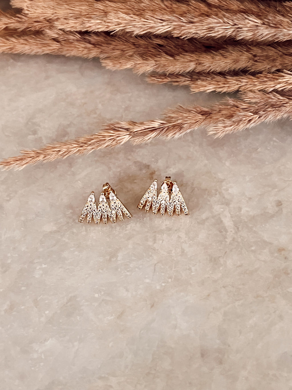 ANNY SHINY EARRINGS